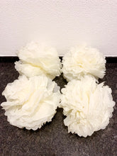 Laden Sie das Bild in den Galerie-Viewer, Seidenpapier Pompoms
