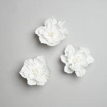 Laden Sie das Bild in den Galerie-Viewer, RICO DESIGN Krepppapier Blüten