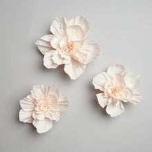 Laden Sie das Bild in den Galerie-Viewer, RICO DESIGN Krepppapier Blüten