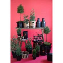 Laden Sie das Bild in den Galerie-Viewer, Natur Schale