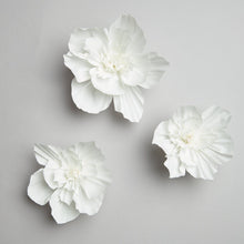 Laden Sie das Bild in den Galerie-Viewer, RICO DESIGN Krepppapier Blüten