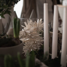 Laden Sie das Bild in den Galerie-Viewer, DBKD Papier Schneeflocke "PAPERFLAKE" mittel