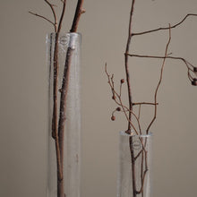 Laden Sie das Bild in den Galerie-Viewer, DBKD Tall Vase small - clear