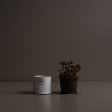 Laden Sie das Bild in den Galerie-Viewer, DBKD Keramik Vase