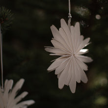 Laden Sie das Bild in den Galerie-Viewer, DBKD Papier Schneeflocke "PAPERFLAKE" klein