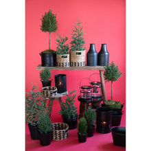 Laden Sie das Bild in den Galerie-Viewer, Natur Kübel