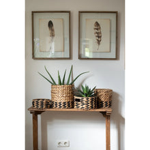 Laden Sie das Bild in den Galerie-Viewer, Natur Schale