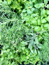 Laden Sie das Bild in den Galerie-Viewer, Kübel Zylinder m. Kräutermotiv