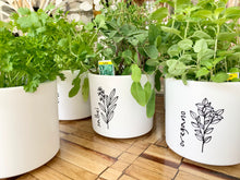 Laden Sie das Bild in den Galerie-Viewer, Kübel Zylinder m. Kräutermotiv
