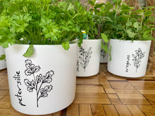 Laden Sie das Bild in den Galerie-Viewer, Kübel Zylinder m. Kräutermotiv