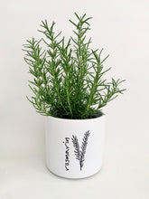 Laden Sie das Bild in den Galerie-Viewer, Kübel Zylinder m. Kräutermotiv