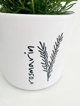Laden Sie das Bild in den Galerie-Viewer, Kübel Zylinder m. Kräutermotiv