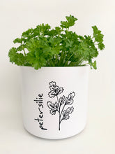 Laden Sie das Bild in den Galerie-Viewer, Kübel Zylinder m. Kräutermotiv