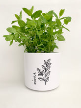 Laden Sie das Bild in den Galerie-Viewer, Kübel Zylinder m. Kräutermotiv