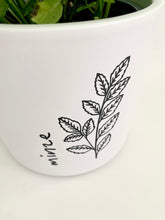 Laden Sie das Bild in den Galerie-Viewer, Kübel Zylinder m. Kräutermotiv