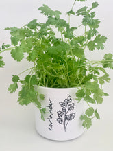 Laden Sie das Bild in den Galerie-Viewer, Kübel Zylinder m. Kräutermotiv