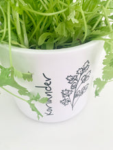 Laden Sie das Bild in den Galerie-Viewer, Kübel Zylinder m. Kräutermotiv