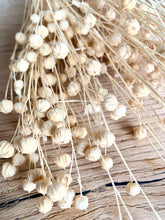 Laden Sie das Bild in den Galerie-Viewer, WORKSHOP Trockenblumen Leinwand WUNSCHTERMIN