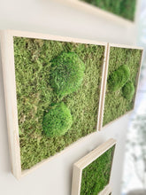 Laden Sie das Bild in den Galerie-Viewer, WORKSHOP Grünes Kunstwerk aus Moos WUNSCHTERMIN