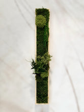 Laden Sie das Bild in den Galerie-Viewer, Grünes Moos