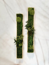 Laden Sie das Bild in den Galerie-Viewer, Grünes Moos