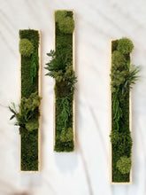 Laden Sie das Bild in den Galerie-Viewer, Grünes Moos