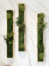 Laden Sie das Bild in den Galerie-Viewer, Grünes Moos