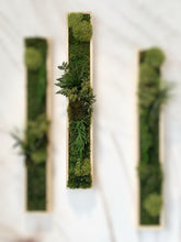 Laden Sie das Bild in den Galerie-Viewer, Grünes Moos