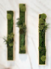 Laden Sie das Bild in den Galerie-Viewer, Grünes Moos