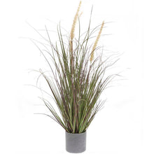 Laden Sie das Bild in den Galerie-Viewer, RICO DESIGN Dünengras im Topf 64 cm