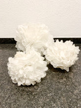 Laden Sie das Bild in den Galerie-Viewer, Seidenpapier Pompoms
