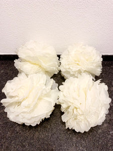 Seidenpapier Pompoms
