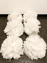Laden Sie das Bild in den Galerie-Viewer, Seidenpapier Pompoms
