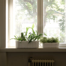 Laden Sie das Bild in den Galerie-Viewer, DBKD Mist Oval small - white
