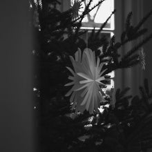 Laden Sie das Bild in den Galerie-Viewer, DBKD Papier Schneeflocke &quot;PAPERFLAKE&quot; groß
