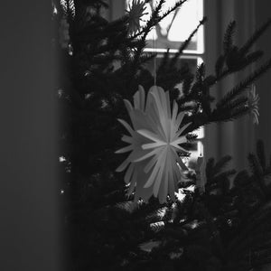 DBKD Papier Schneeflocke "PAPERFLAKE" groß