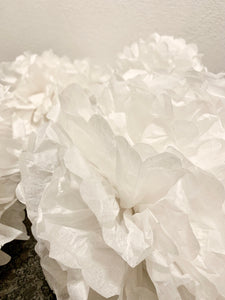 Seidenpapier Pompoms