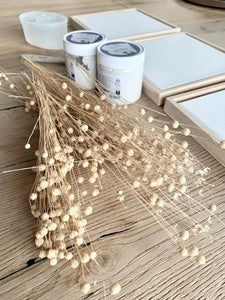 WORKSHOP Trockenblumen Leinwand 08. November 2024